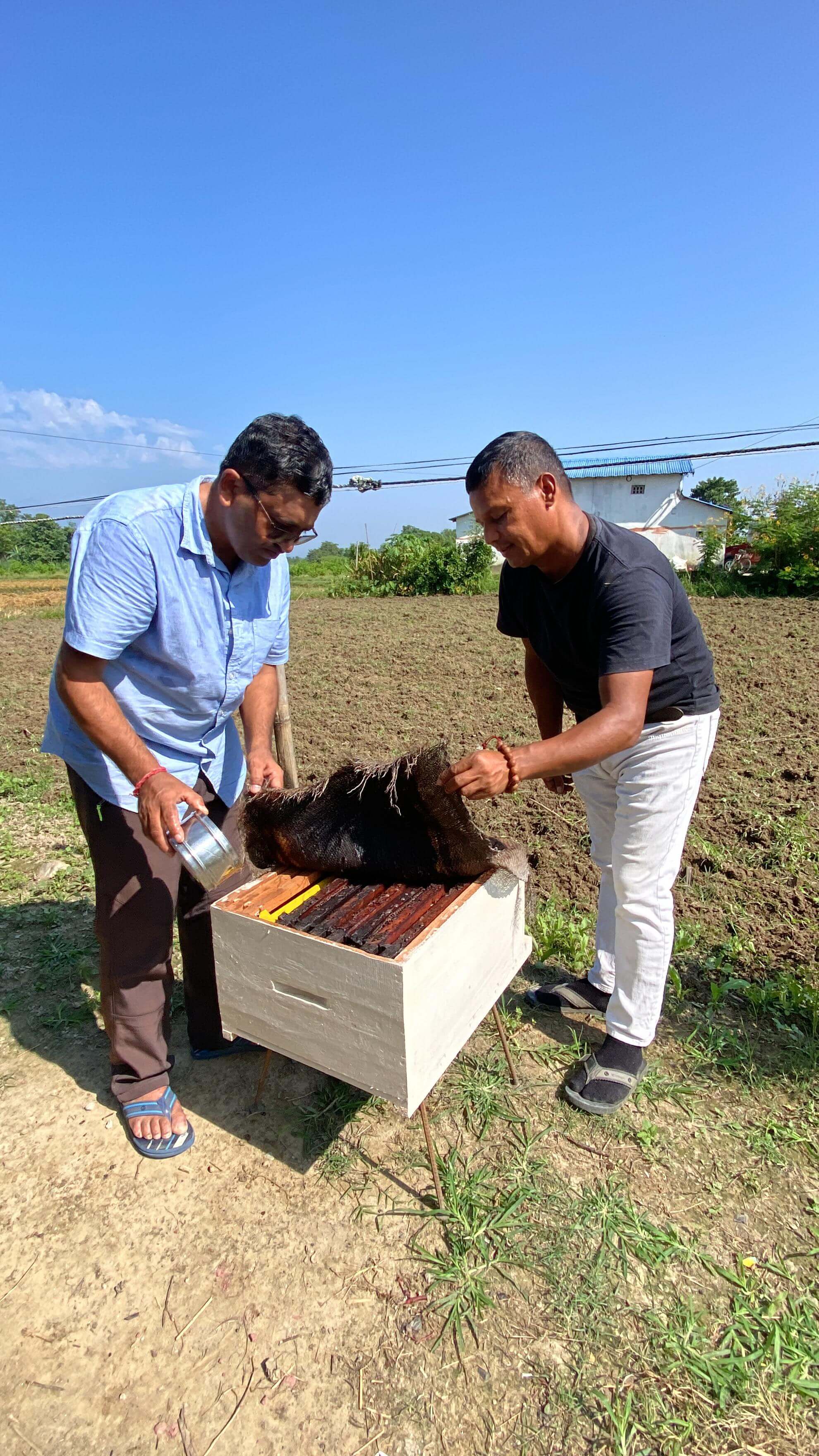 3 a d4124173 d e2 c9 d d1 e e%7 c0