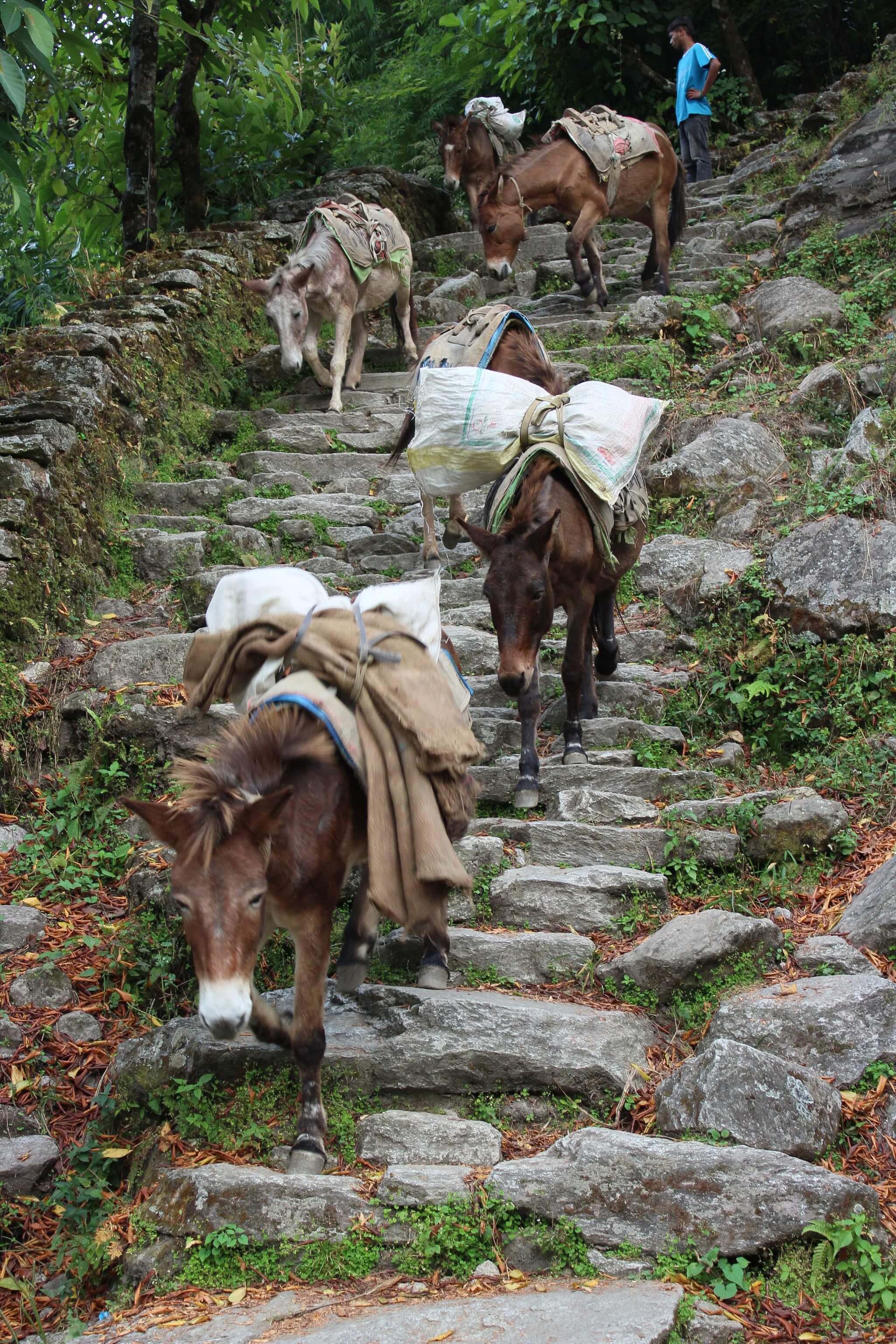 3 a42 b e d84 f b d4 d66 e533%7 c0